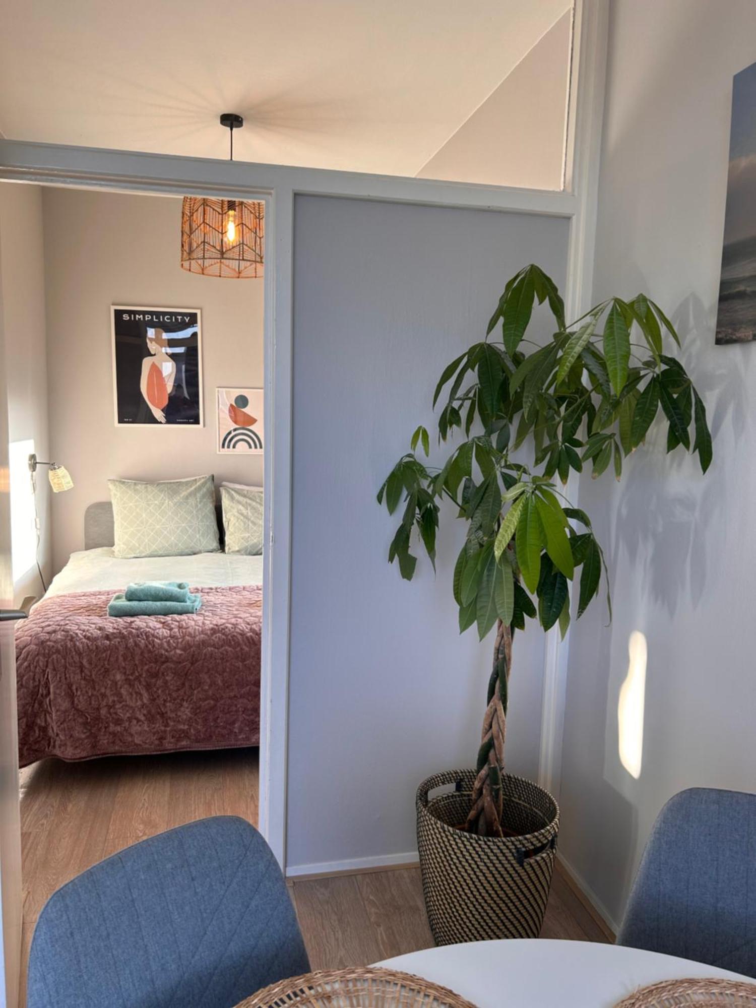 Amsterdam Beach Apartment 17, Incl Parking + Garden Zandvoort Εξωτερικό φωτογραφία